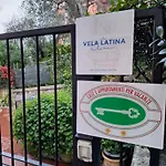 La Vela Latina * レーリチ